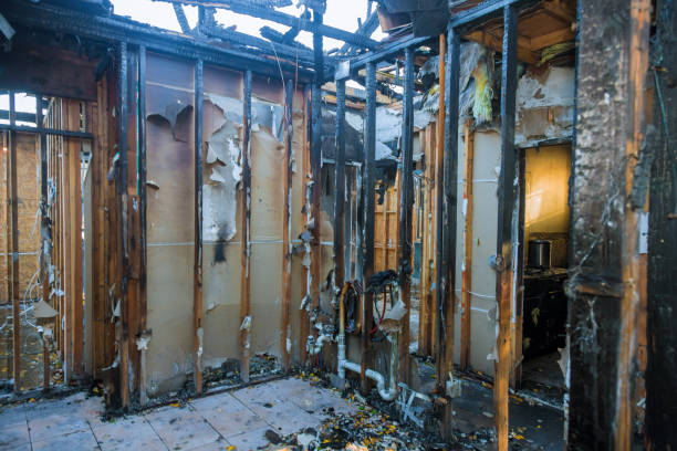Professional Fire Damage Removal technician working in New Madrid, MO